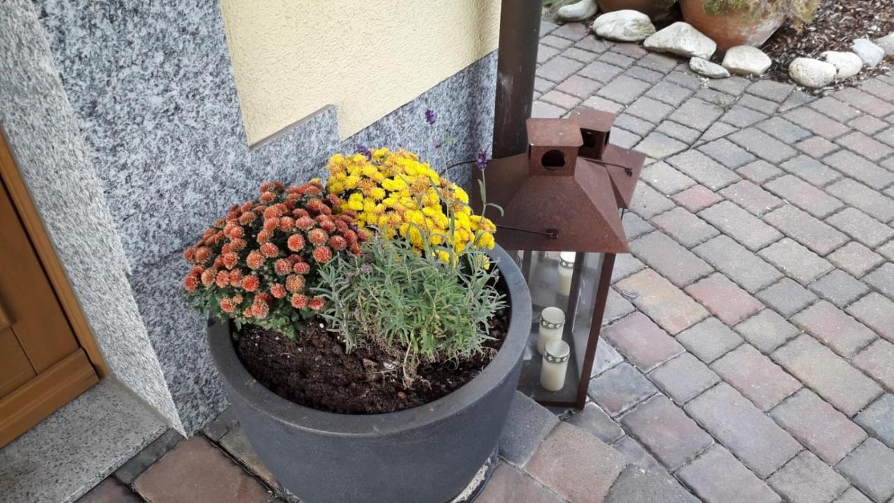 Ferienwohnung Leipzig Land Naunhof Eksteriør bilde